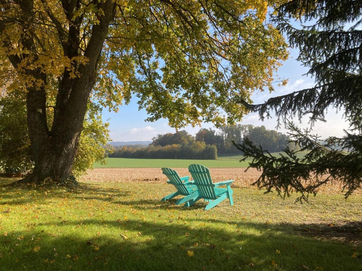 Buesingen Am Hochrhein Radfahren, Wandern, Natur Geniessen Exterior photo